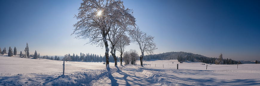 Ogis 20120212 9813 9817 Pano Master