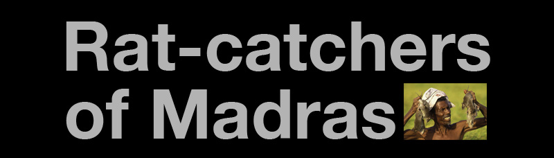 Ratcatchers Title